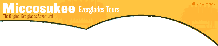Miccosukee Everglades Tours: The Original Everglades Adventure!